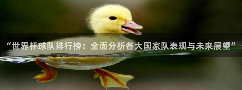 2026足球世界杯赛程：“世界杯球队排行榜：全面分析各大国家队表现与未来展望”