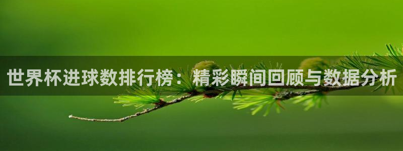 足球比分直播世界杯：世界杯进球数排行榜：精彩瞬间回顾与数据分析