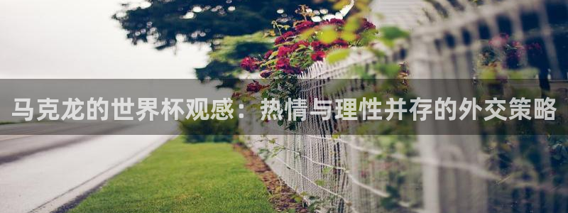 世界杯比赛赛程：马克龙的世界杯观感：热情与理性并存的外交策略
