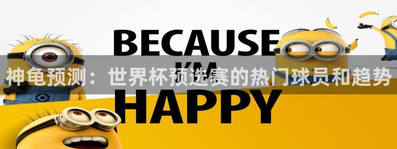 世界杯赛程时间表：神龟预测：世界杯预选赛的热门球员和趋势