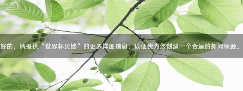 世界杯官网：好的，请提供“世界杯贝嫂”的更多详细信息，以便我为您创建一个合适的新闻标题。