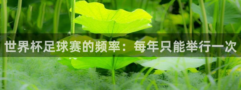 世界杯赛程时间表：世界杯足球赛的频率：每年只能举行一次