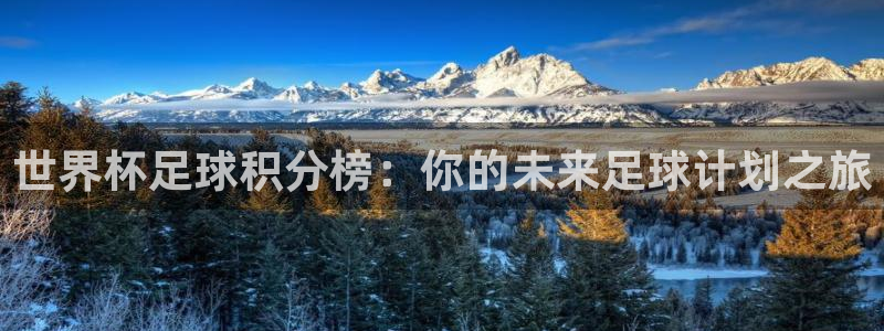 世界杯女足直播：世界杯足球积分榜：你的未来足球计划之旅