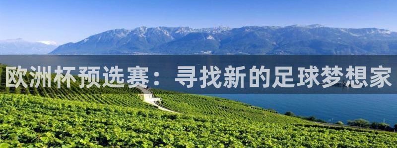 世预赛欧洲赛程表：欧洲杯预选赛：寻找新的足球梦想家