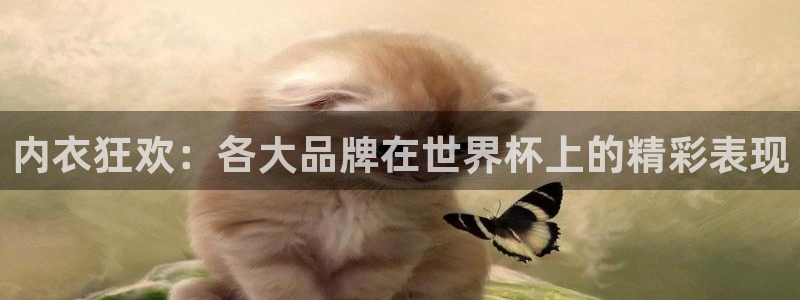 2026年世界杯赛程：内衣狂欢：各大品牌在世界杯上的精彩表现