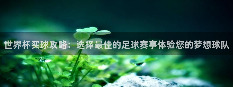 世界杯决赛圈球队：世界杯买球攻略：选择最佳的足球赛事体验您的梦想球队