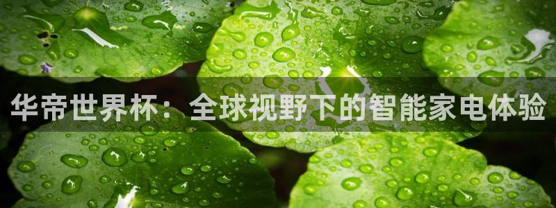 2026男足世界杯：华帝世界杯：全球视野下的智能家电体验