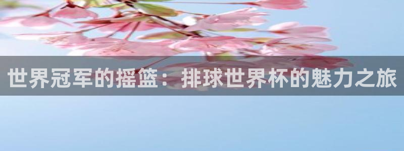 世界杯预选赛赛程：世界冠军的摇篮：排球世界杯的魅力之旅